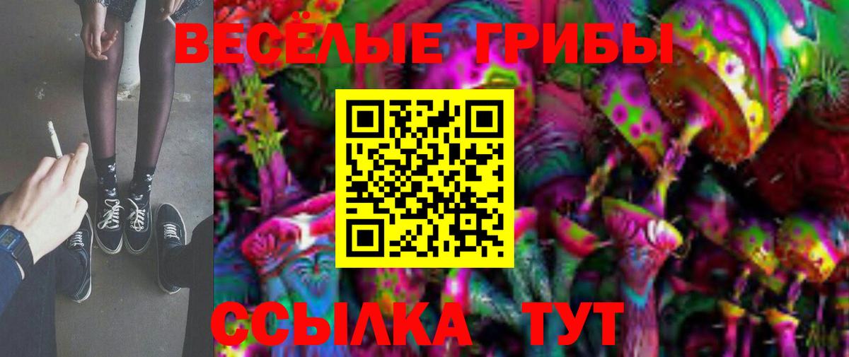 Северодвинск  наркотики  Вход с VPN  Галлюциногенные грибы Magic Shrooms 